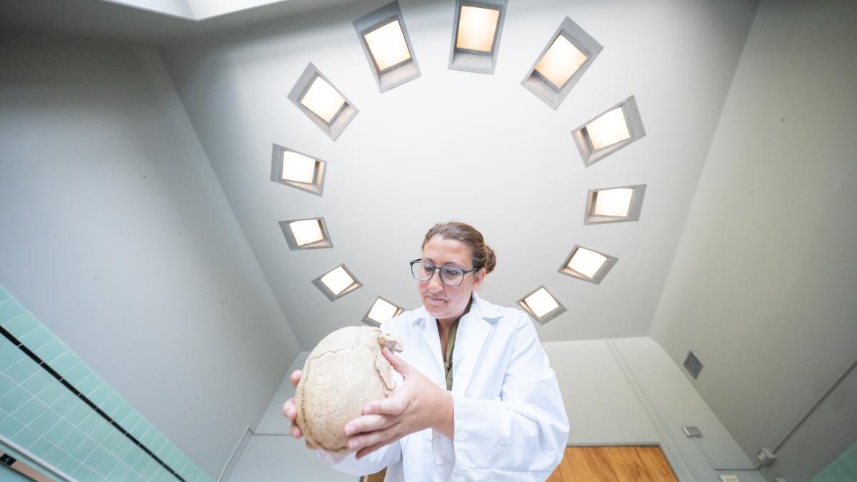 穿着实验室大褂的女人正在检查一个人的头骨