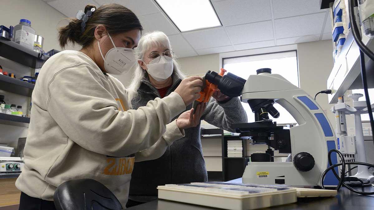 两个女人在实验室里检查显微镜.