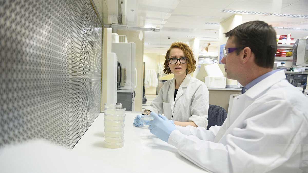 男人和女人在实验室里用培养皿交谈.