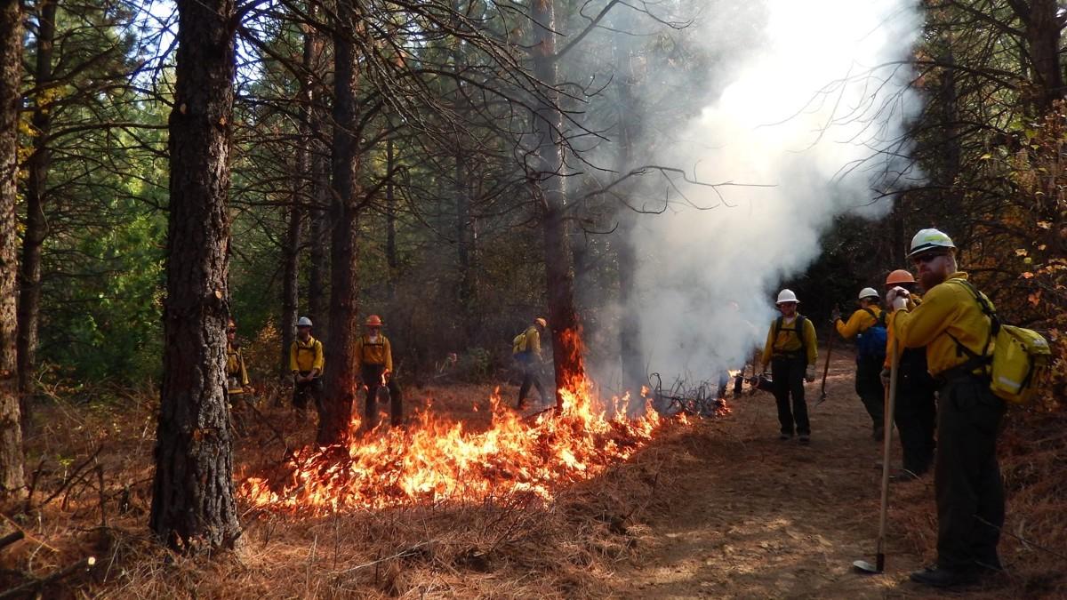 消防队员正在控制爱达荷州森林的大火. 